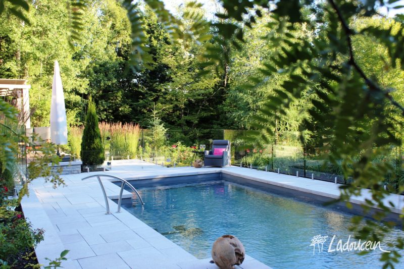 Aménagement paysager et pavé de béton autour d'une piscine creusée contemporaine avec clôtures de verre
